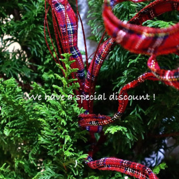 we have a spesial discount !